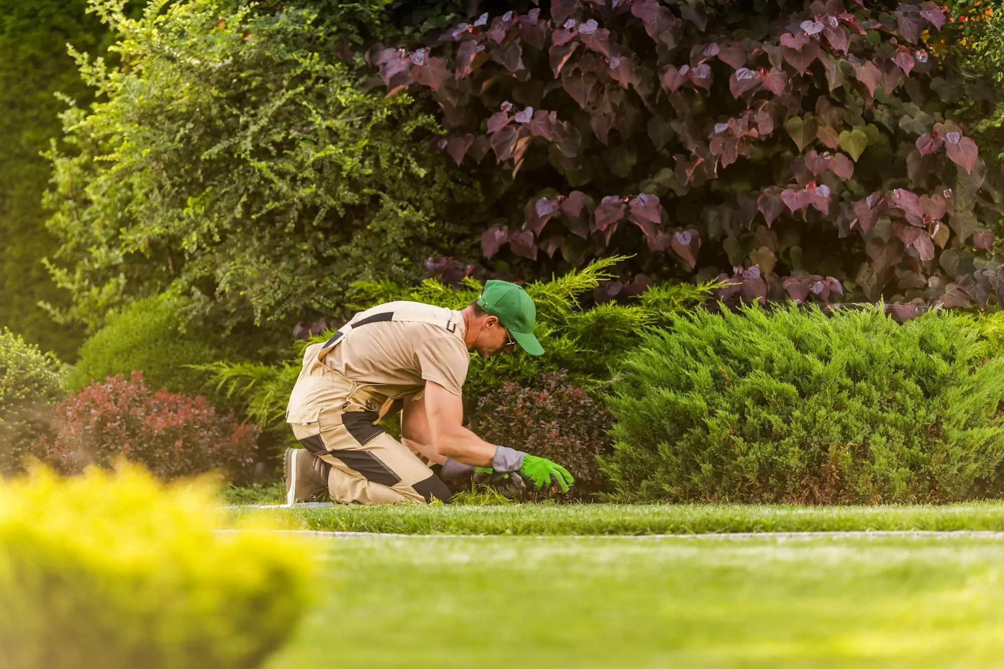 Gardener Weeding Large Beautiful Gardener